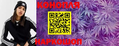 СК Конаково